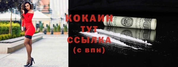 прущие грибы Вязники
